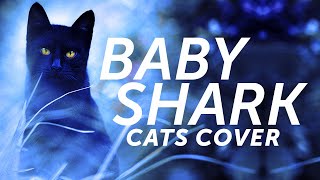 Cats Sing Baby Shark Cover Parody Version