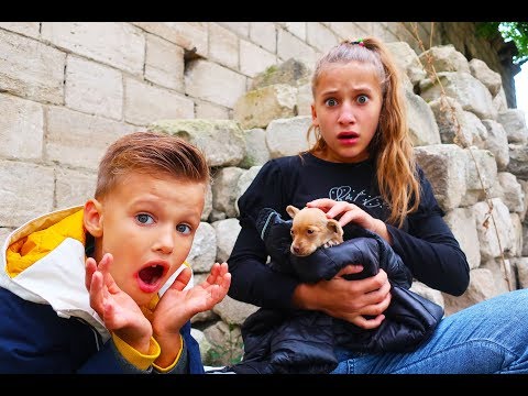 Au GĂSIT un CĂȚELUȘ RĂTĂCIT/ Ce au FĂCUT COPIII?