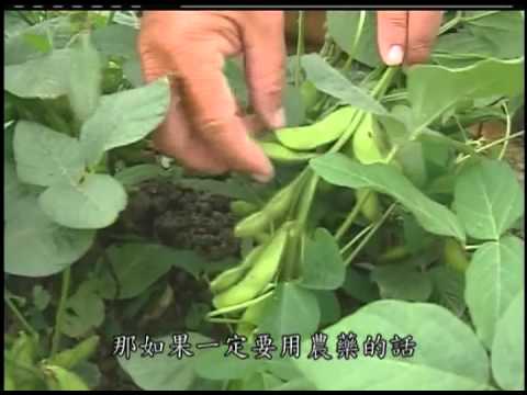 政府把關您免驚，台灣農產安心呷─創造綠金奇蹟的農業專區