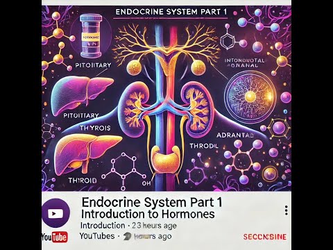 A&P 2 Lecture: Endocrine System Part 1