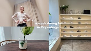 Fall week living in Copenhagen | shopping, eating out, study hacks and new goals