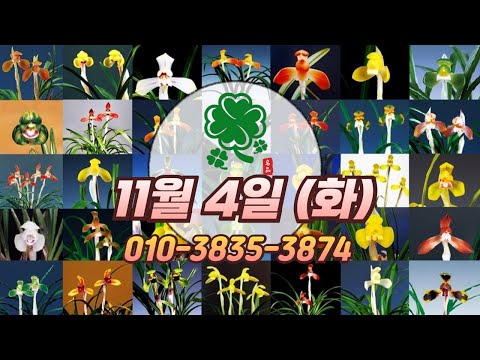 유튜브 썸네일