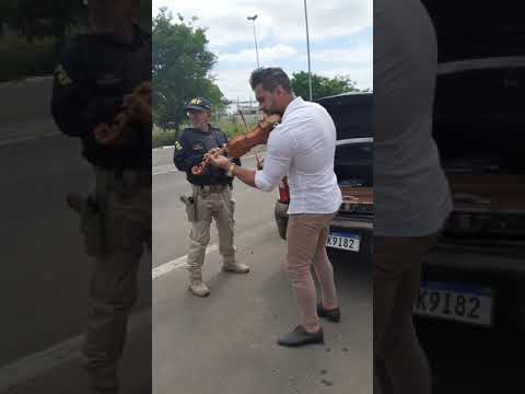 Quase fui preso 😵🙏🎻 Polícia Rodoviária me atacou e virou música