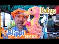 Blippi Lernt Meerestiere Kennen Blippi Kinder Videos Moonbug Kids Deutsch