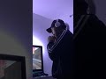 Lil Mosey Noticed Gay Version