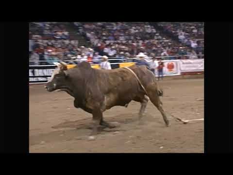 Owen Dunn vs Heck The Speck - 96 PBR Billings (87 pts)