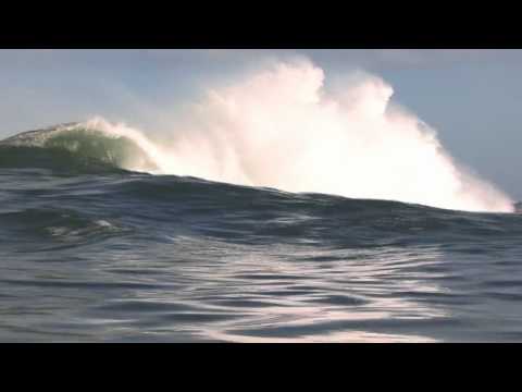 Ryan Hardy the new kid [Reflex]