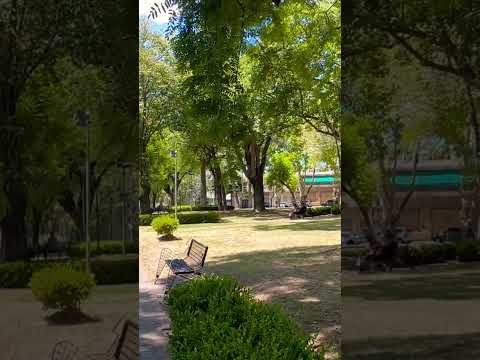 Es una mañana más que tranquila en la plaza Italia de la ciudad de #zarate #shorts #buenosaires #ba