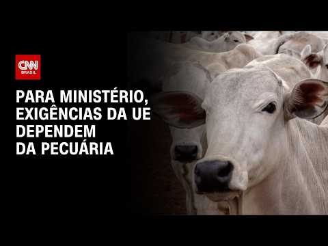Brasil diz que adaptação às regras da UE dependia do setor de carnes | CNN AGRO NEWS