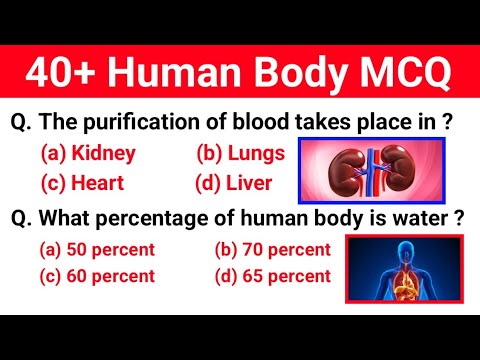 Human body Important question | 40+ Important Questions related to Human Body