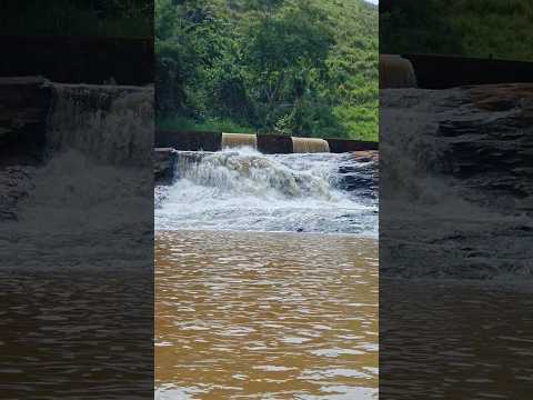 Cachoeira de Dores do Turvo MG #cachoeira #minasgerais