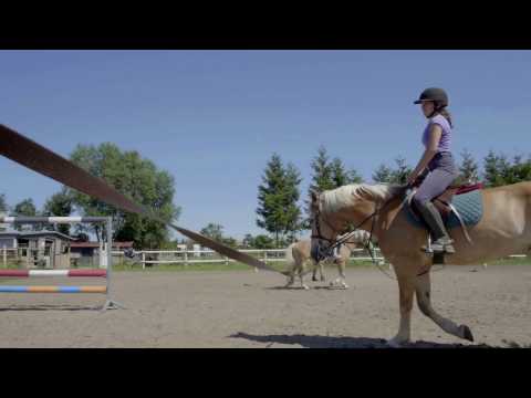 Agroturystyka "Pod Kogutem" Wrzosowo