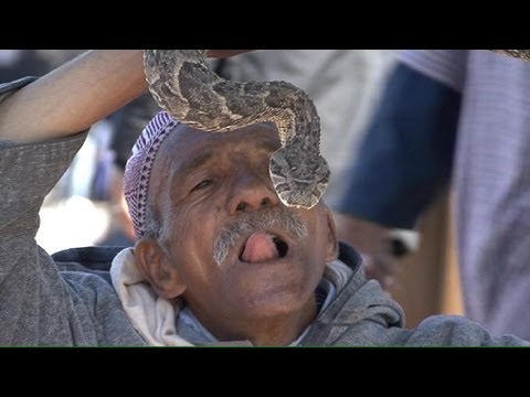 Marrakech snake charmers defying death at Djemmaa el-Fna