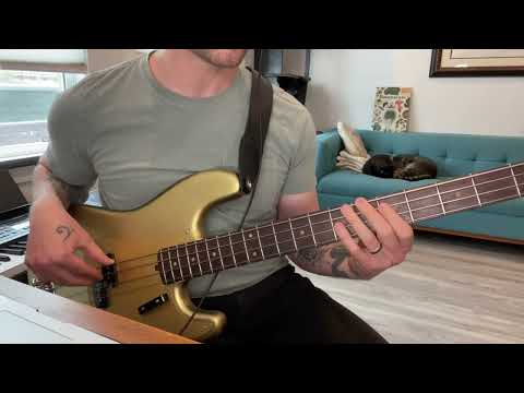 La Bella’s New Olinto Flat Wound Strings // the P bass test