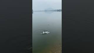 하노이  낚시하기