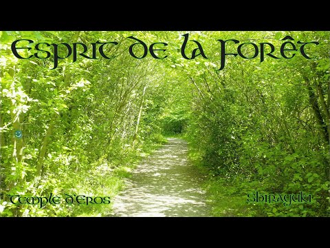 🇫🇷🎤Esprit de la Forêt (feat. Shirayuki) | French Vocal 🍃 Celtic Music