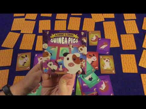 Bower's Game Corner: Gimme Gimme Guinea Pig Review