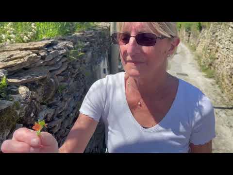 Picnic nei Bricchi, Santa Giulia Lavagna