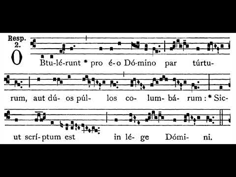 Purification of the BVM Feb. 2 Processional Chant:  Obtulérunt tantum corpus (solfeggio)
