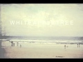 White Apple Tree - Passed Out 