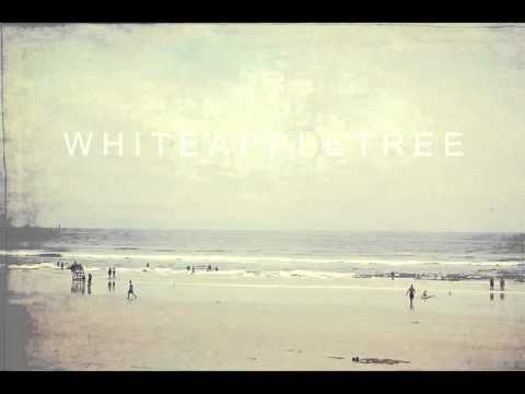 White Apple Tree - Passed Out