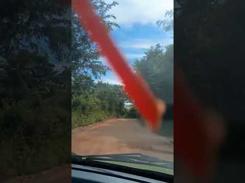 DESTINO CRUEL ( @milionarioejosericooficial )MARILAC MINAS GERAIS 🇧🇷🇧🇷🇧🇷🇧🇷