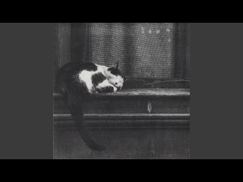 Video thumbnail for Untitled