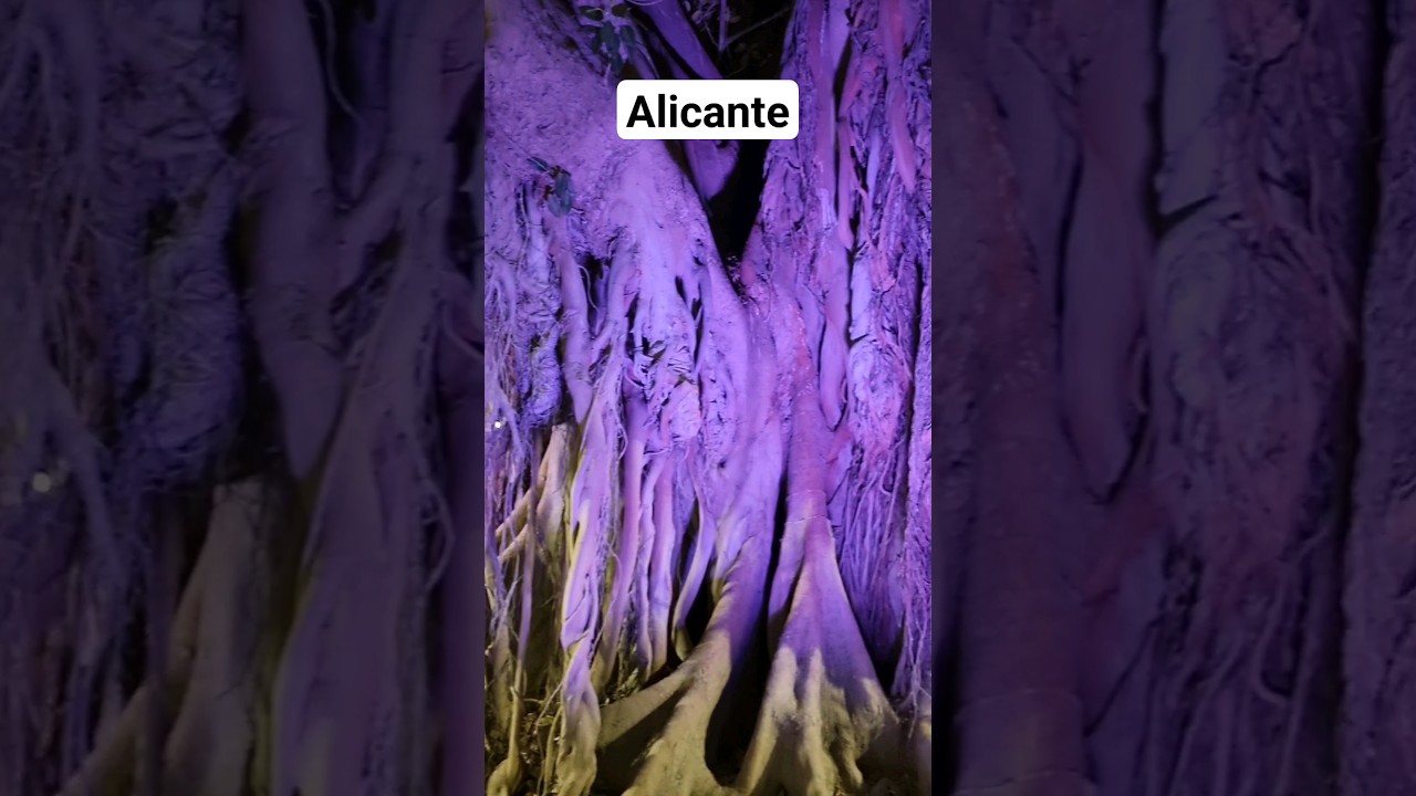🌃 Spacer noca #Alicante #podróżezdziećmi #podróże ...
