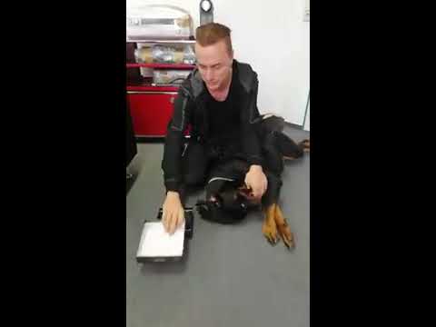 Sven Friedrich (Solar Fake) unboxing "You Win. Who Cares?" (EN/RU subs)