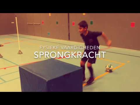 CFA training: kijkgedrag
