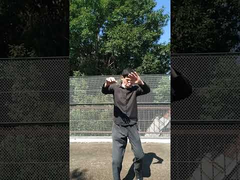 宮拳法カーフキック