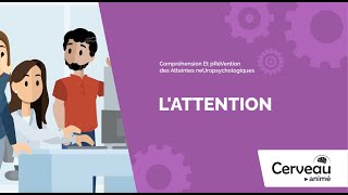L'attention - Cerveau animé - Membres de l'entourage