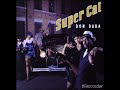 SUPERCAT  - DONT TEST 1989
