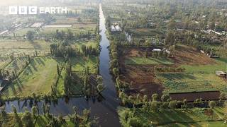 Mexico's 1,000-Year-Old Floating Farms | World's Busiest Cities | The Travel Edit