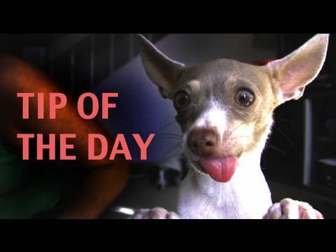 What is Clicker Training