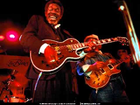 Bernard  & Luther ALLISON Freedom