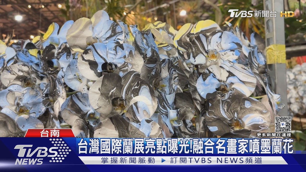 台灣蘭展27日登場亮點曝光！白天逛完蘭花　晚上逛台灣燈會