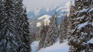 Between the Buried and Me - Selkies: The Endless Obsession *FULL SONG