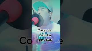 Cover de Kalimba 001 - 646 #música #cover #kalimbacover