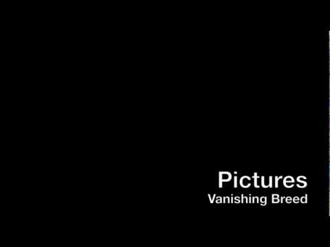 Pictures (Lyrics) - Vanishing Breed