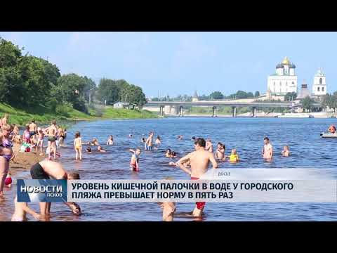 Новости Псков 13.07.2018 # Уровень кишечной палочки на городском пляже превышает норму в пять раз