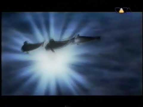 Dolphins Mind - The Flow