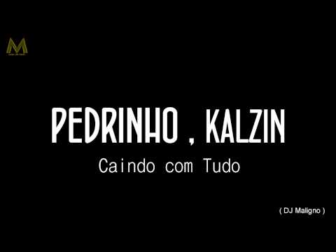 MC Pedrinho MC Kalzin - Caindo com Tudo ( DJ Maligno ) 'Lançamento 2014
