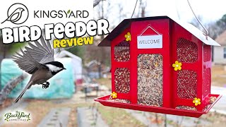 These Bird Feeders ACTUALLY Keep Squirrels Out (20% OFF)
