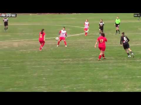 03.11.2019: Piros Security Arad - Selena Constanța (repriza2)