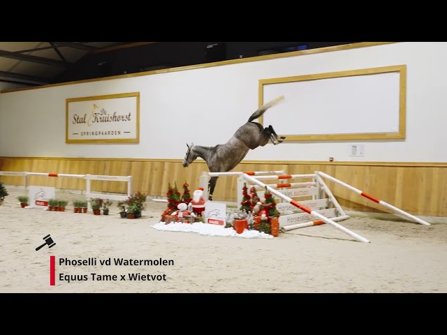 Phoselli v/d Watermolen