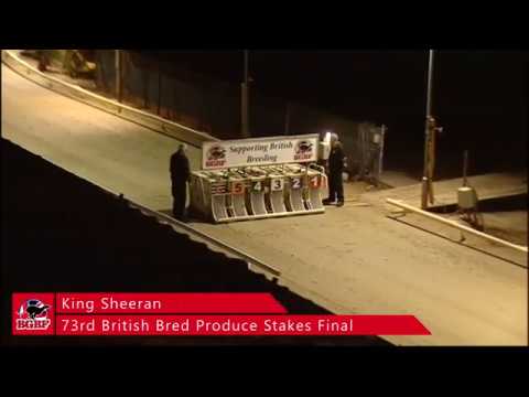 King Sheeran - 73rd Produce Stakes Final