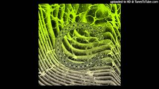 Chairlift - Sidewalk Safari (Martyn's Crystal World Edit)