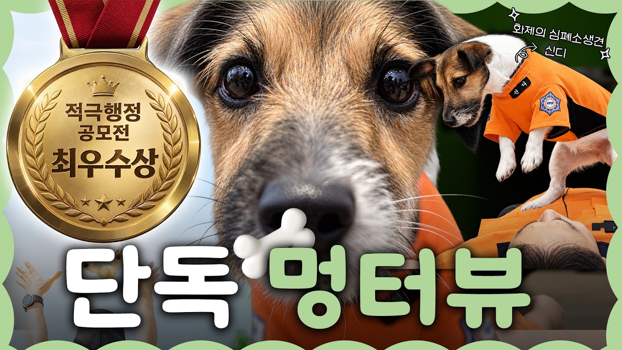 심폐소생술 하는 적극행정 강아지 신디! 개인기까지 대-방출 썸네일