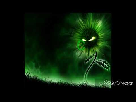 Kabro_Nako ft lit_brodah & Beffor- Caminos